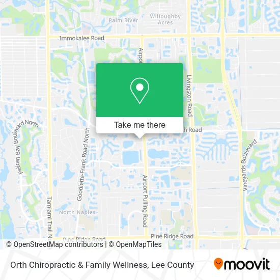 Orth Chiropractic & Family Wellness map