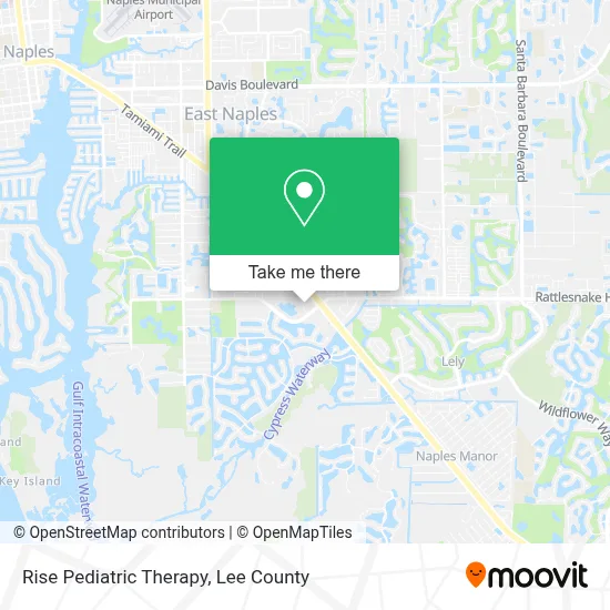 Rise Pediatric Therapy map