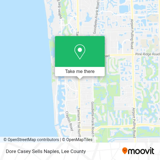 Dore Casey Sells Naples map
