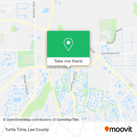 Turtle Time map