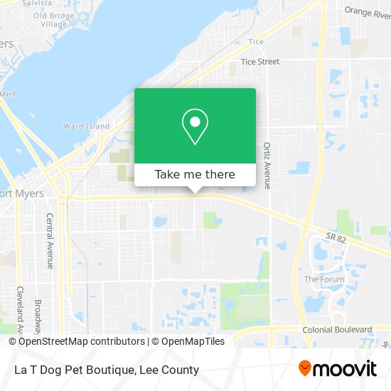 La T Dog Pet Boutique map