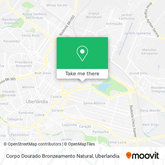 Mapa Corpo Dourado Bronzeamento Natural