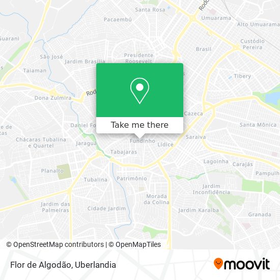Flor de Algodão map