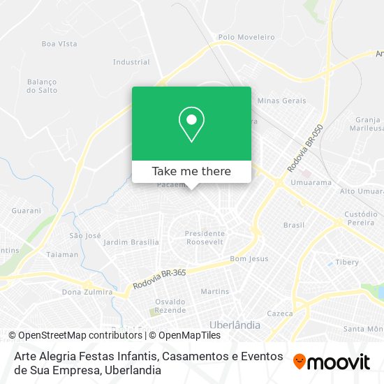 Arte Alegria Festas Infantis, Casamentos e Eventos de Sua Empresa map