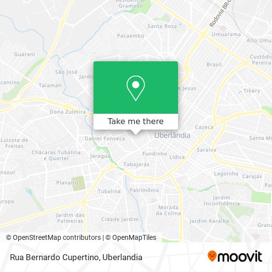 Rua Bernardo Cupertino map