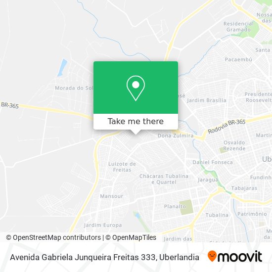 Avenida Gabriela Junqueira Freitas 333 map