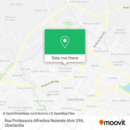 Rua Professora Alfredina Rezende Alvin 298 map