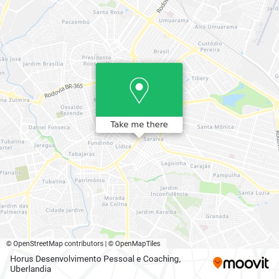 Mapa Horus Desenvolvimento Pessoal e Coaching