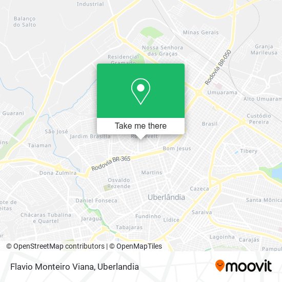 Mapa Flavio Monteiro Viana