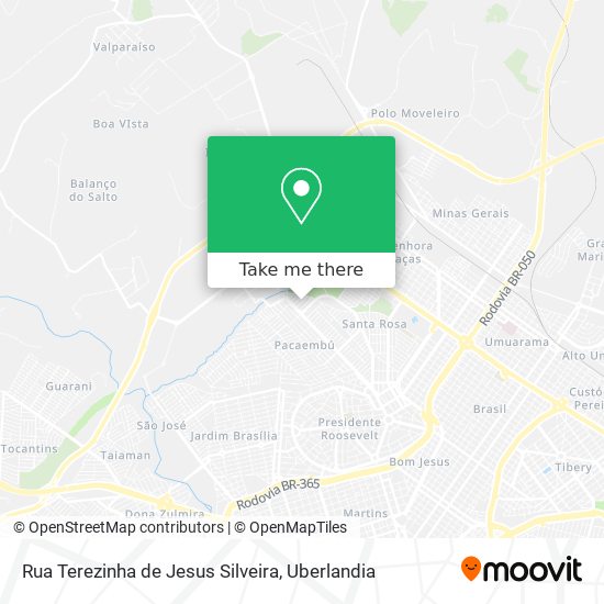 Rua Terezinha de Jesus Silveira map