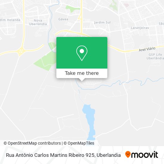 Rua Antônio Carlos Martins Ribeiro 925 map