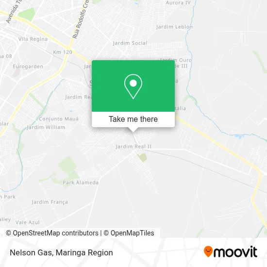 Nelson Gas map