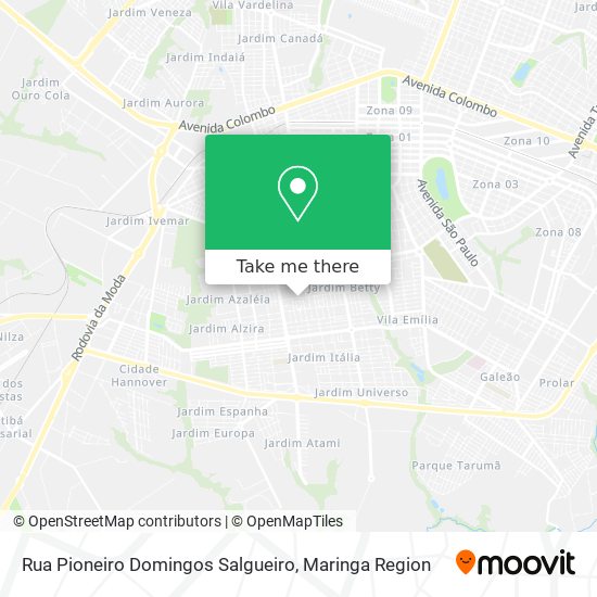 Rua Pioneiro Domingos Salgueiro map