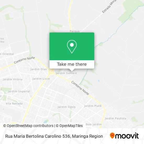 Rua Maria Bertolina Carolino 536 map