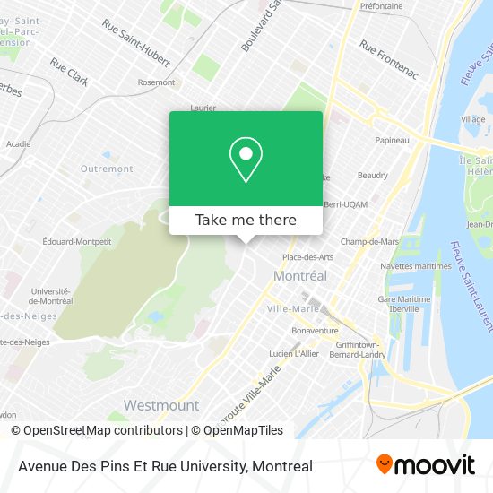 Avenue Des Pins Et Rue University map