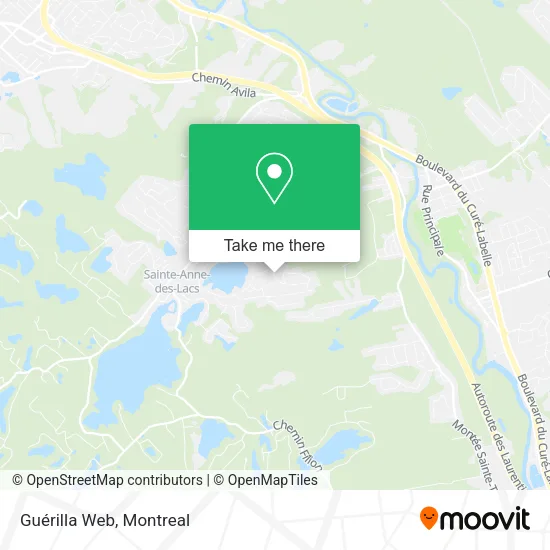Guérilla Web map