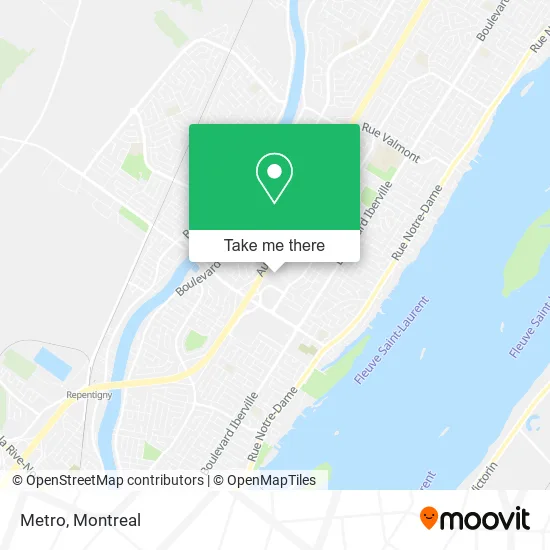 Metro map