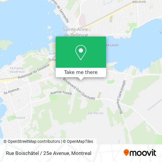 Rue Boischâtel / 25e Avenue map