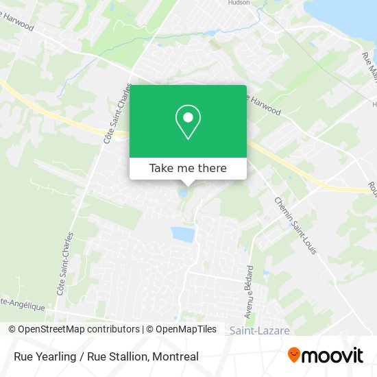Rue Yearling / Rue Stallion map