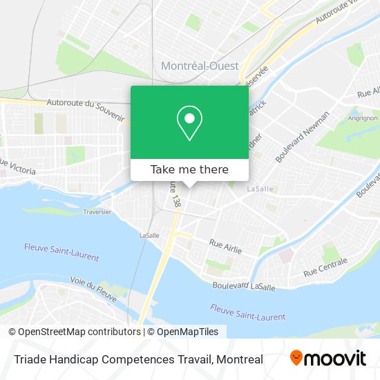 Triade Handicap Competences Travail map