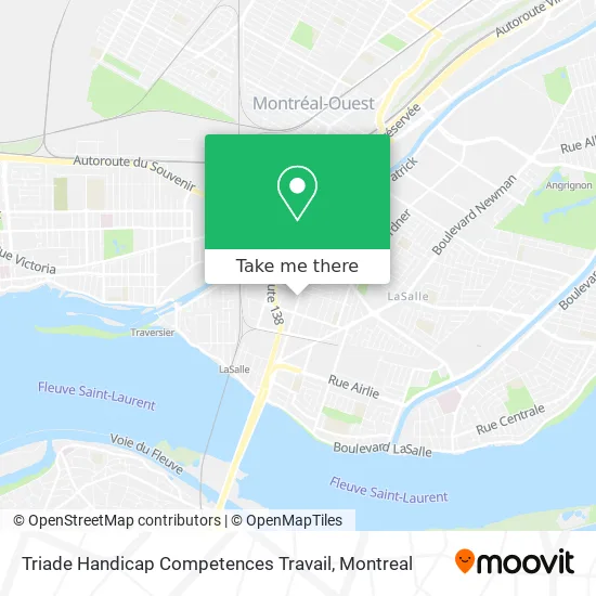 Triade Handicap Competences Travail map