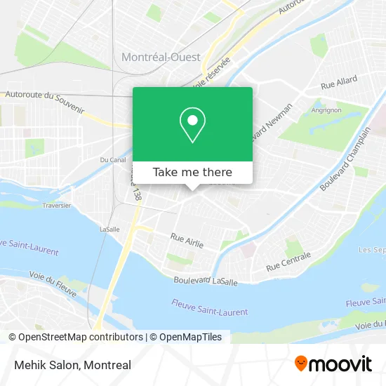 Mehik Salon map