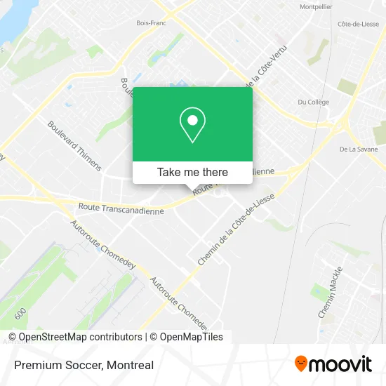 Premium Soccer map