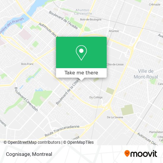 Cognisage map