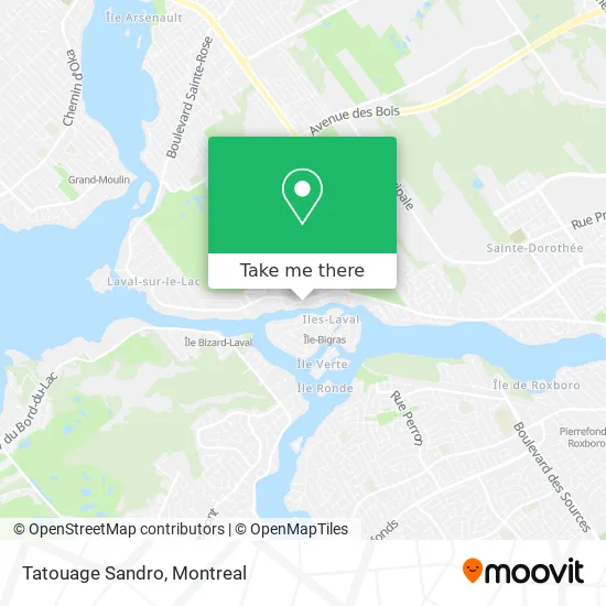 Tatouage Sandro map