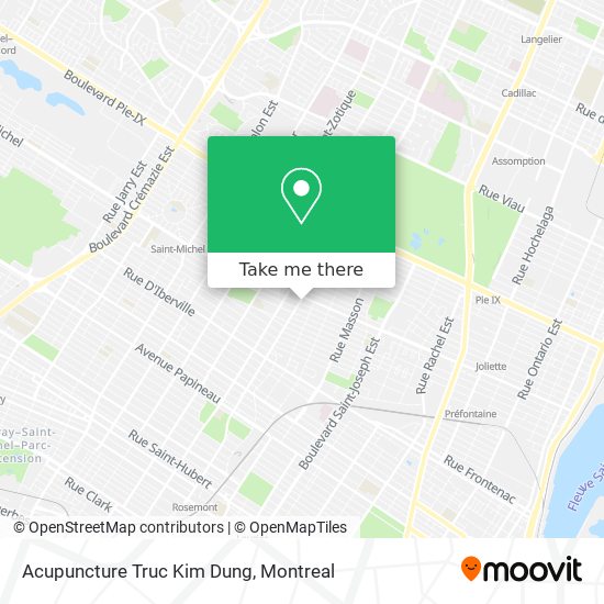 Acupuncture Truc Kim Dung map