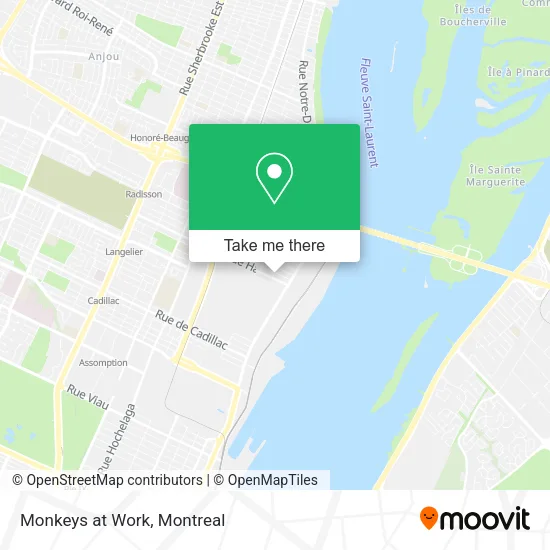 Monkeys at Work map