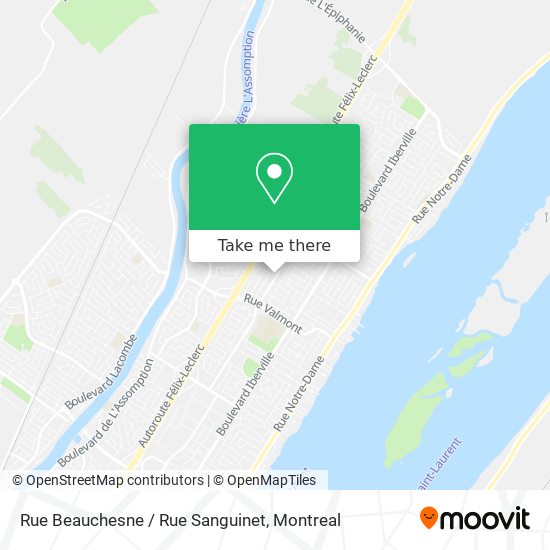 Rue Beauchesne / Rue Sanguinet map