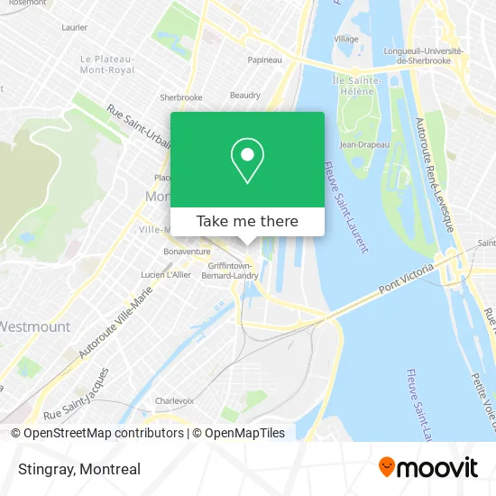 Stingray map