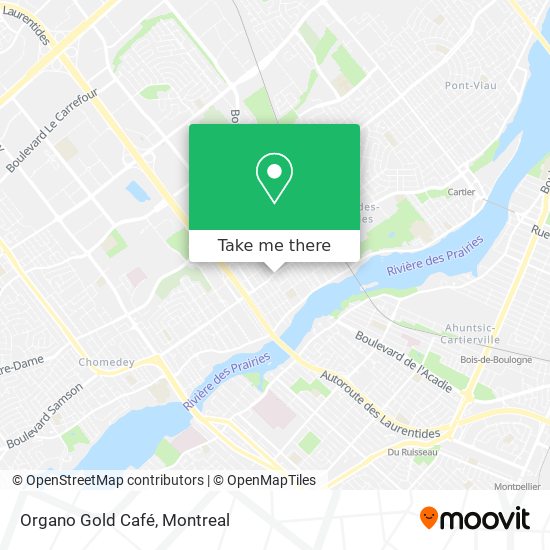 Organo Gold Café map