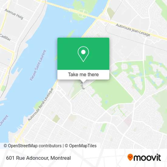 601 Rue Adoncour map