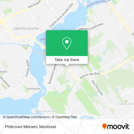 Phibrows Meriem map