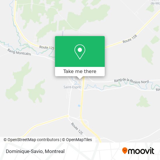 Dominique-Savio map