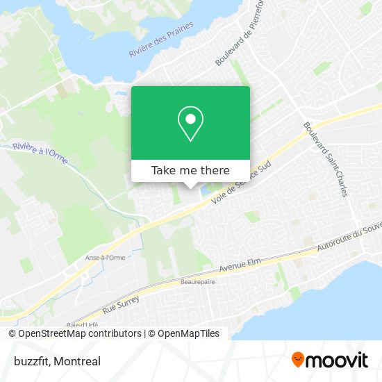 buzzfit map