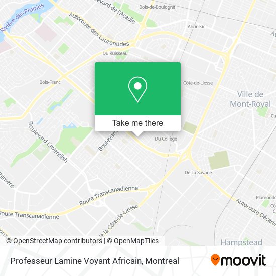 Professeur Lamine Voyant Africain map