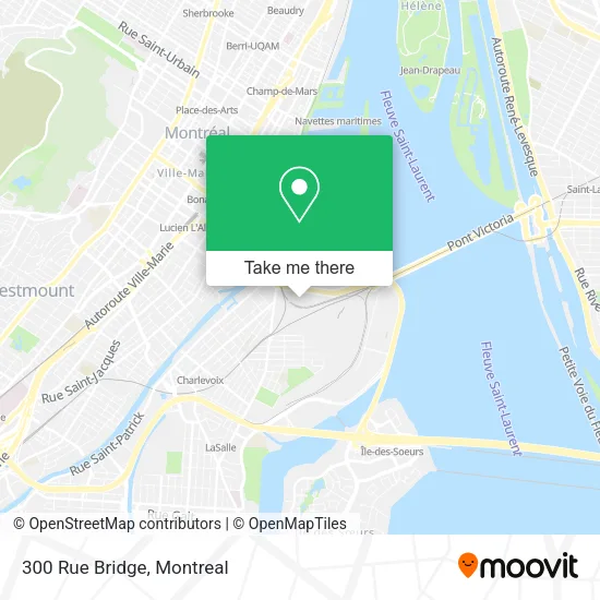 300 Rue Bridge map