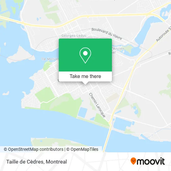 Taille de Cèdres map