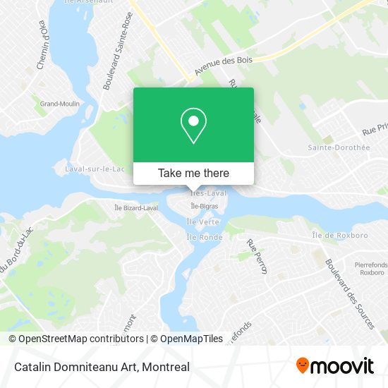 Catalin Domniteanu Art map