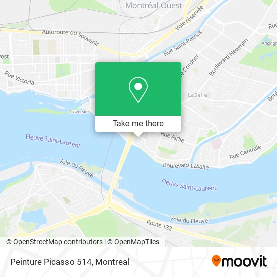 Peinture Picasso 514 map