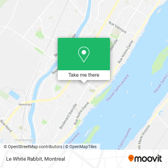 Le White Rabbit map