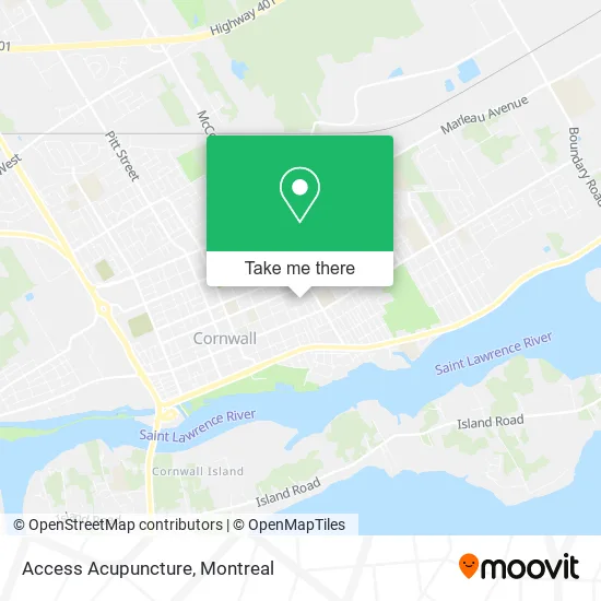 Access Acupuncture map