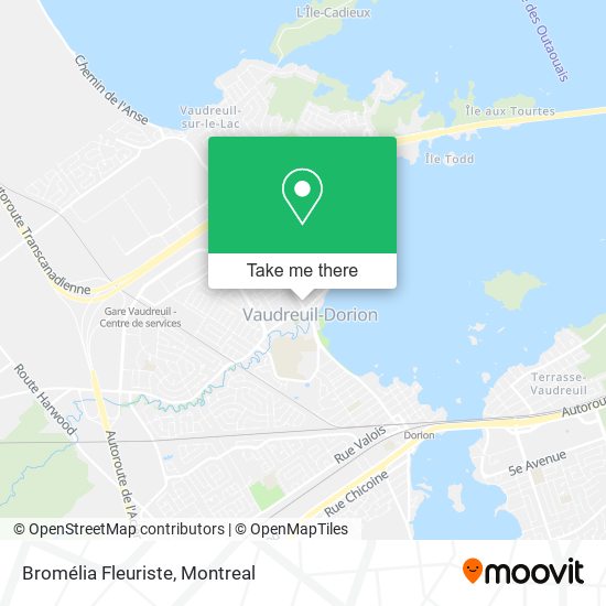 Bromélia Fleuriste map