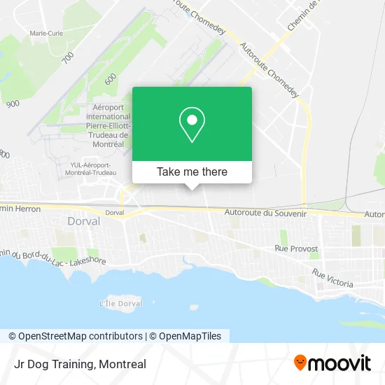 Jr Dog Training map
