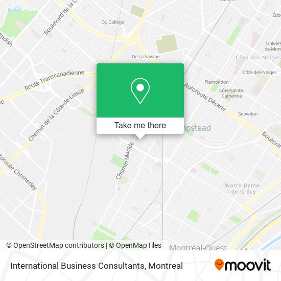 International Business Consultants map