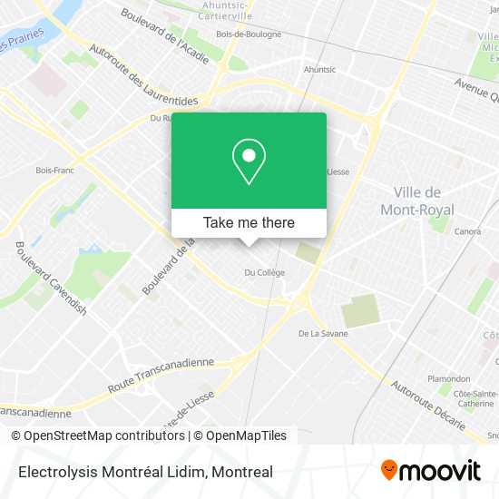 Electrolysis Montréal Lidim map