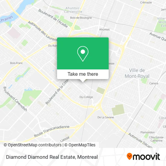 Diamond Diamond Real Estate map